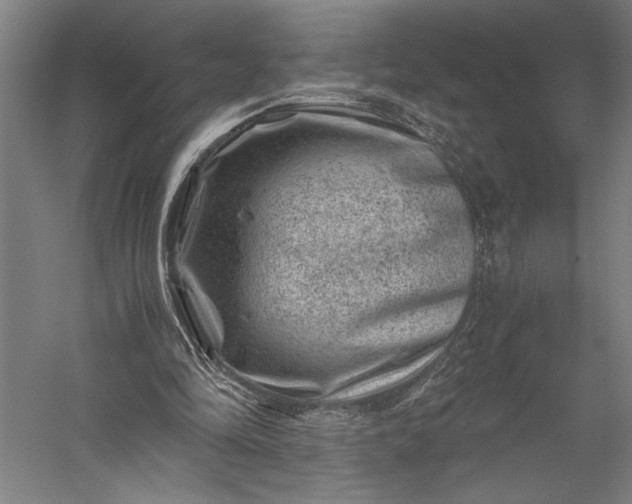 X0000056380294200509091722