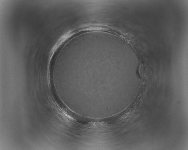 X0000056380296200509091722