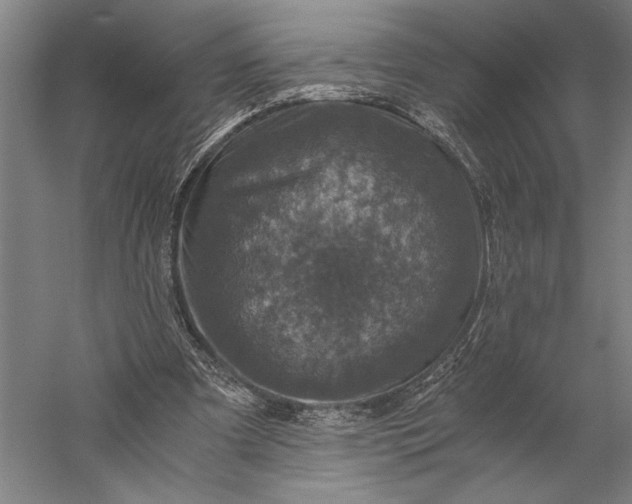 X0000056380297200509091722