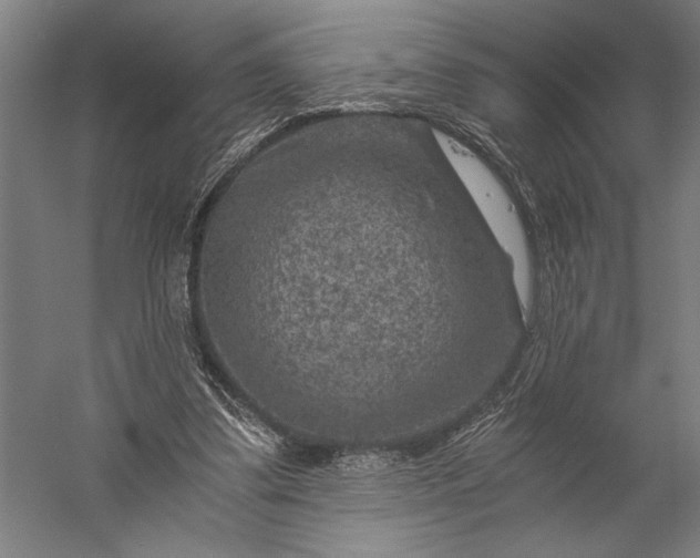 X0000056380299200509091722