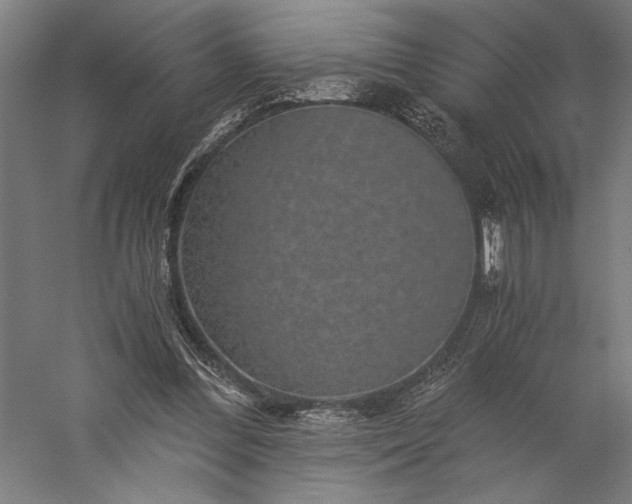 X0000056380300200509091722