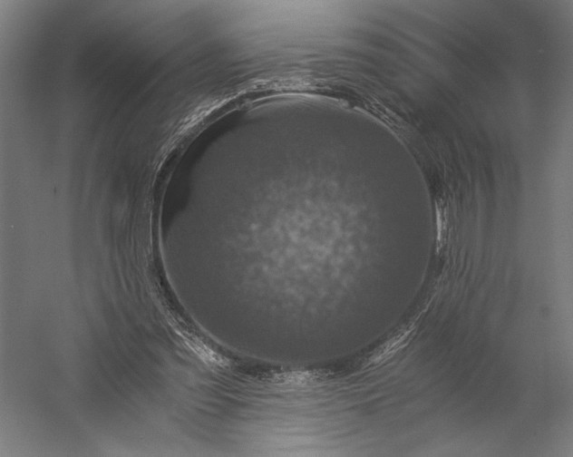 X0000056380301200509091722