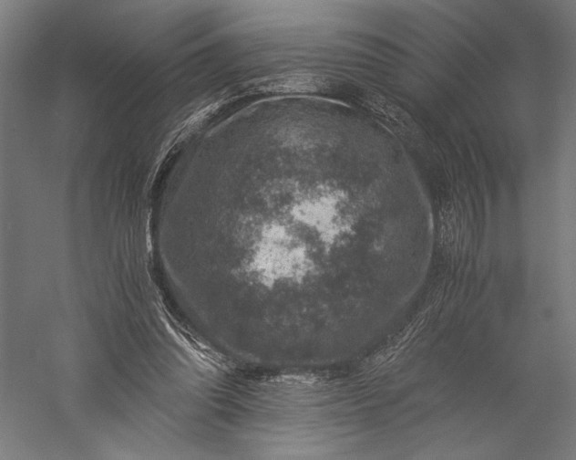 X0000056380302200509091722