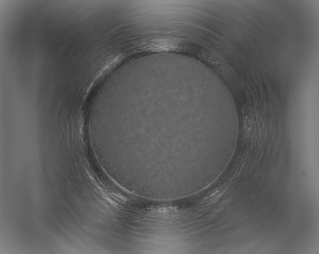 X0000056380304200509091722