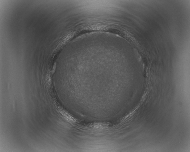 X0000056380305200509091722