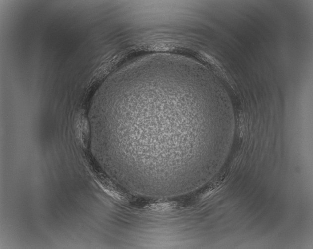 X0000056380307200509091722