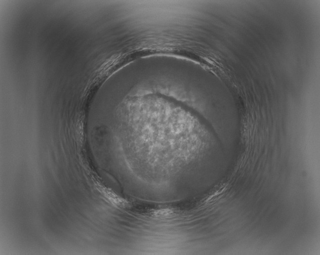 X0000056380309200509091722