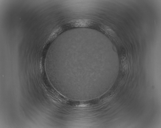 X0000056380312200509091722