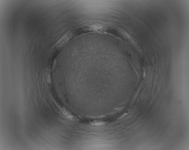 X0000056380313200509091722