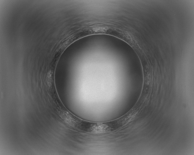 X0000056380321200509091722