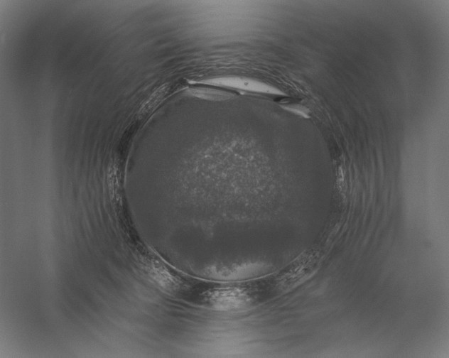 X0000056380322200509091722