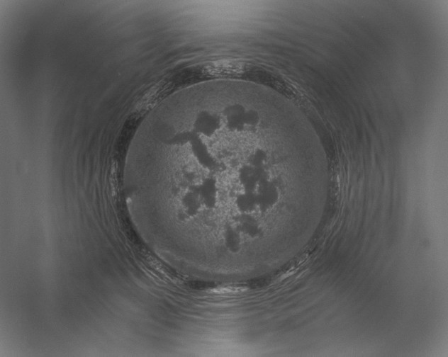 X0000056380323200509091722