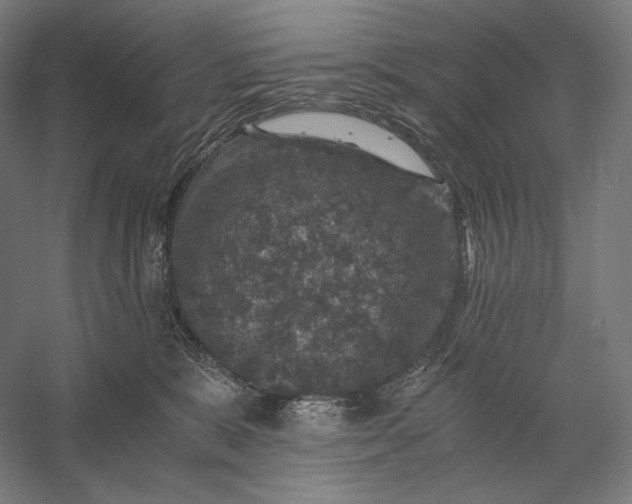 X0000056380327200509091722