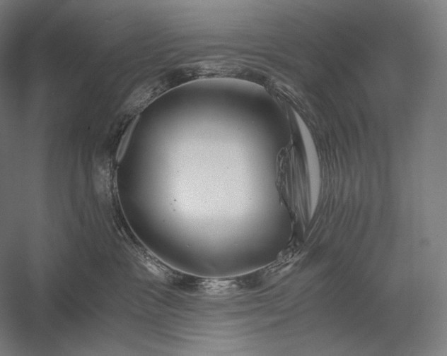 X0000056380333200509091722