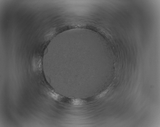 X0000056380336200509091721