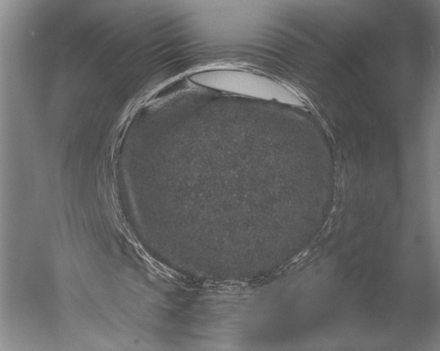 X0000056380337200509091721