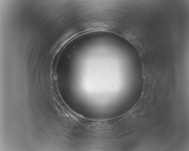 X0000056380338200509091721