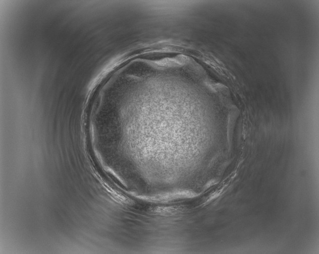 X0000056380341200509091721