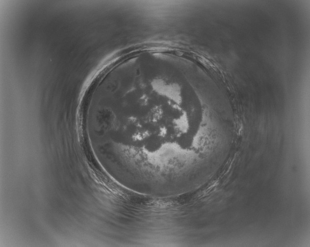 X0000056380343200509091721