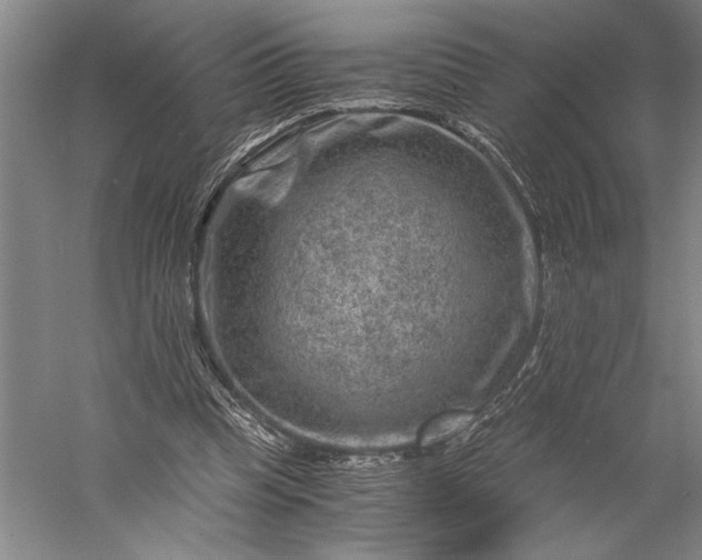 X0000056380345200509091721