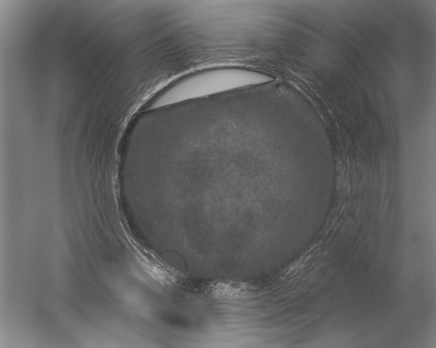 X0000056380346200509091721