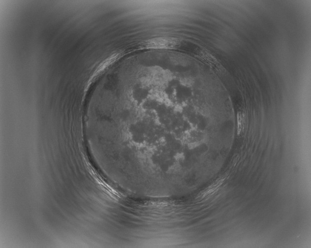 X0000056380349200509091721