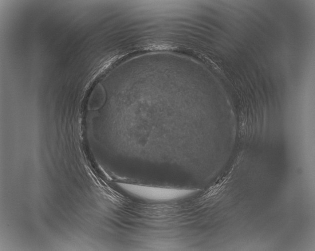 X0000056380351200509091721