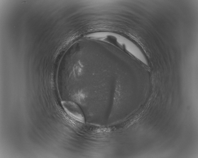 X0000056380353200509091721