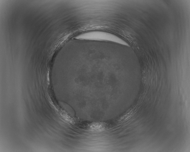 X0000056380358200509091721