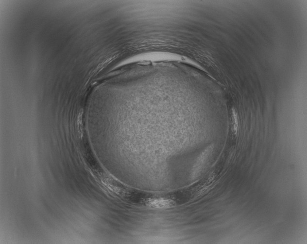 X0000056380360200509091721