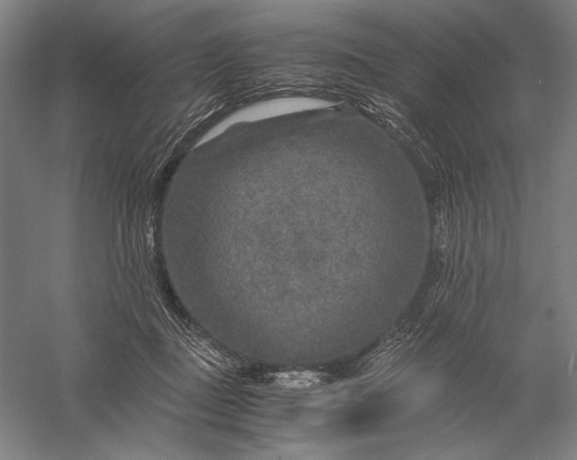 X0000056380363200509091721