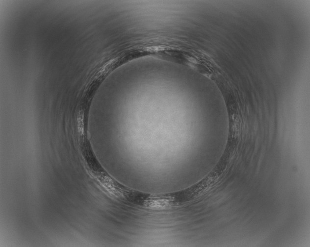 X0000056380368200509091721