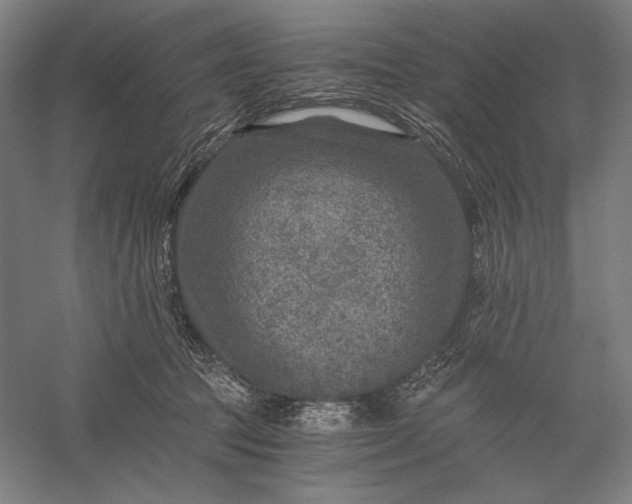 X0000056380369200509091721