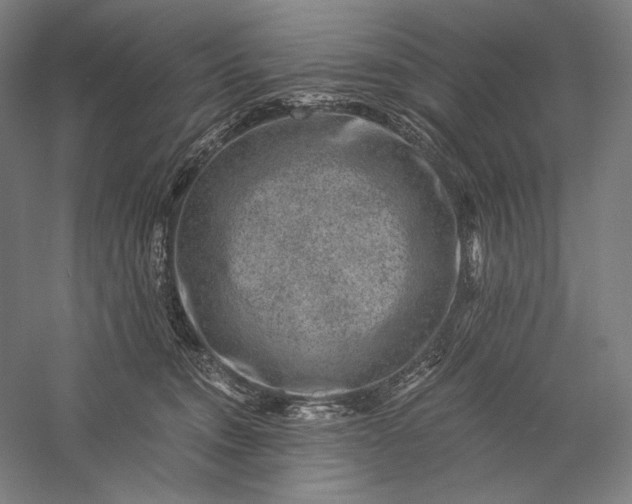 X0000056380372200509091721