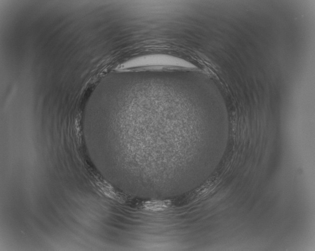 X0000056380373200509091721