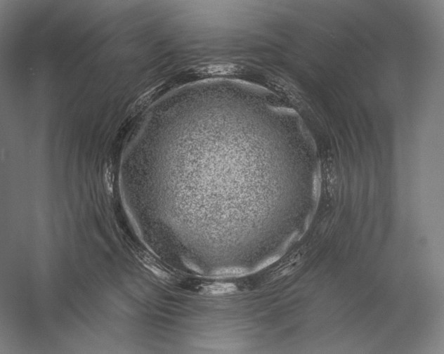 X0000056380374200509091721