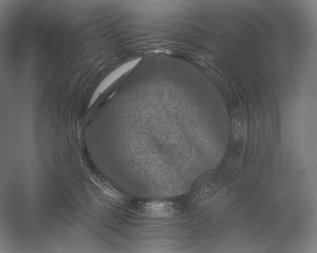 X0000056380375200509091721