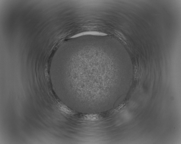 X0000056380377200509091721