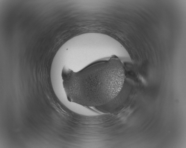 X0000056380380200509091721