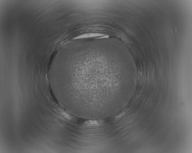 X0000056380381200509091721