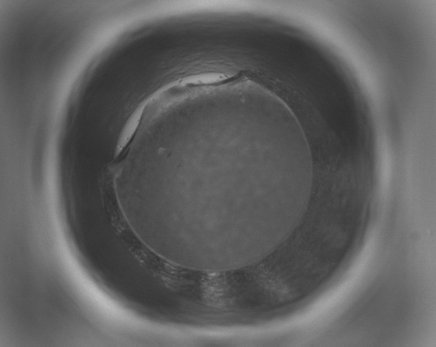 X0000056380382200509091721