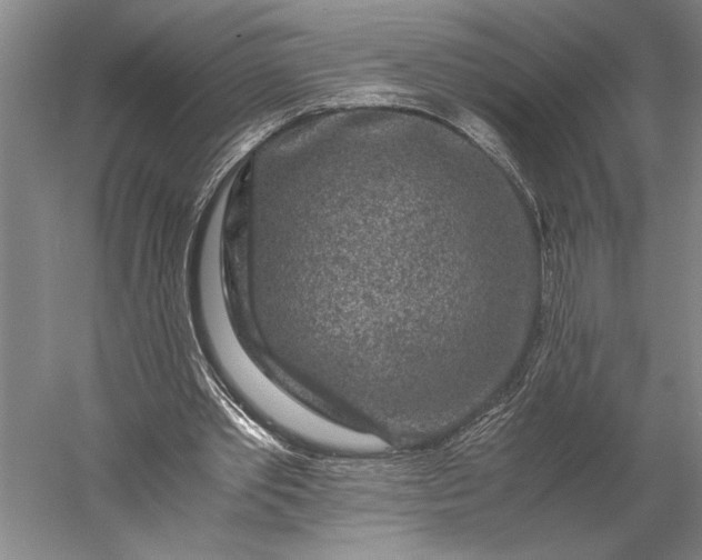 X0000056380389200509091721