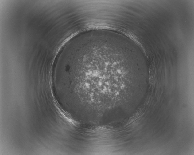 X0000056380390200509091721