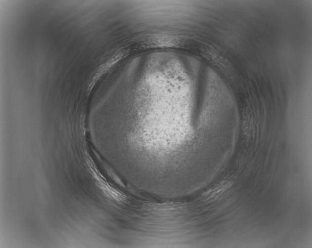 X0000056380394200509091720