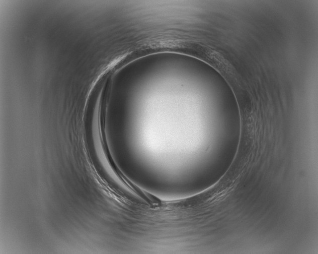 X0000056380395200509091720