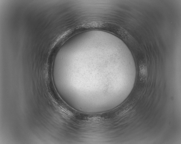 X0000056380396200509091720