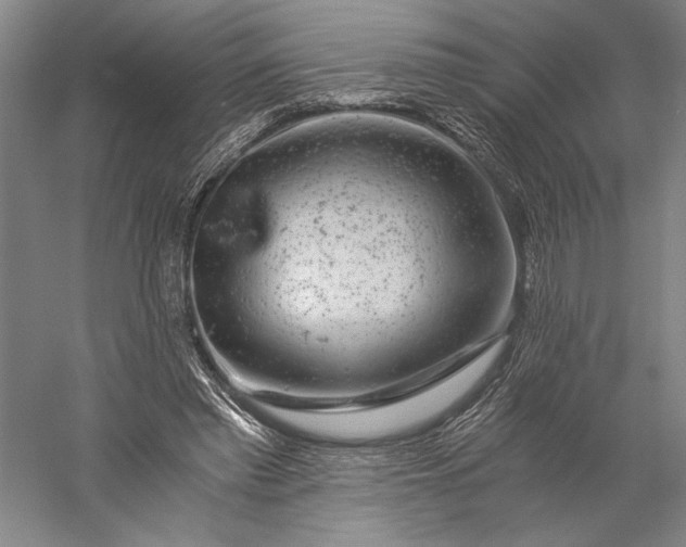 X0000056380397200509091720