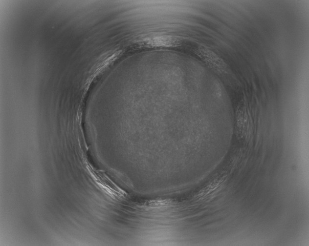 X0000056380398200509091720