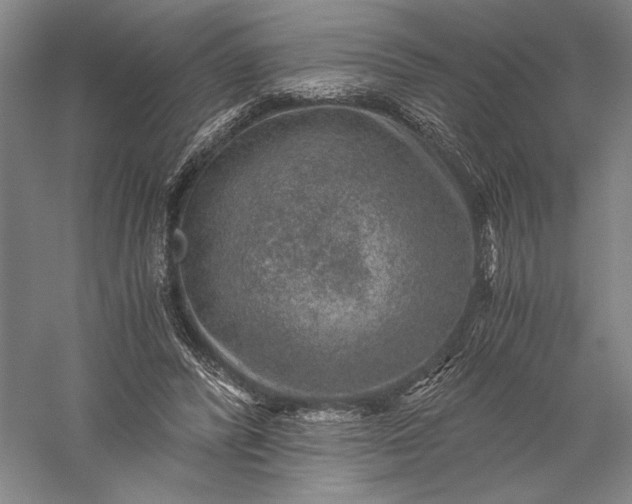 X0000056380400200509091720