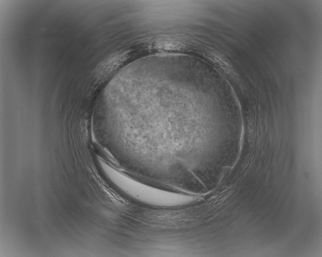 X0000056380401200509091720